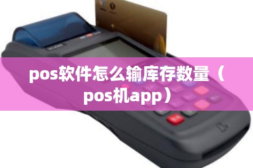 pos软件怎么输库存数量（pos机app）