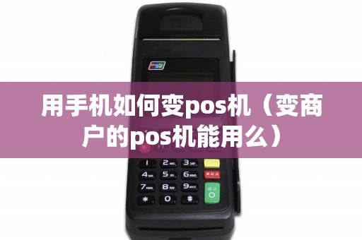 用手机如何变pos机（变商户的pos机能用么）