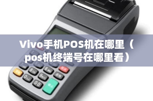 Vivo手机POS机在哪里（pos机终端号在哪里看）