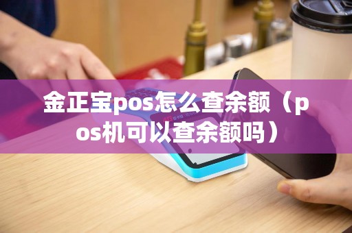 金正宝pos怎么查余额（pos机可以查余额吗）