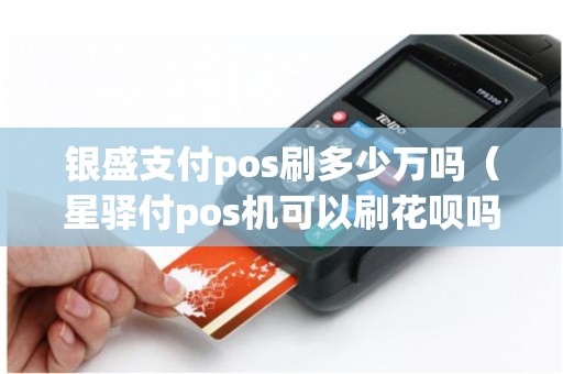 银盛支付pos刷多少万吗(星驿付pos机可以刷花呗吗) 银盛支付pos刷多少万吗(星驿付pos机可以刷花呗吗)