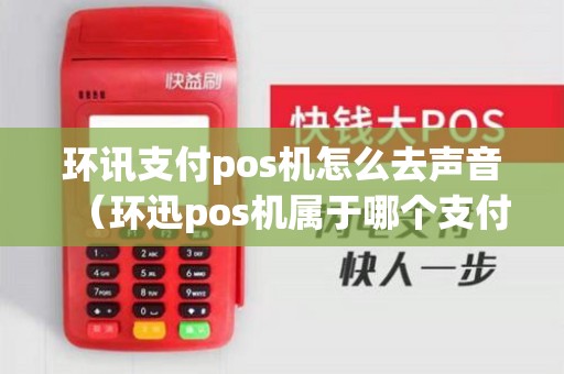 环讯支付pos机怎么去声音(环迅pos机属于哪个支付公司) 环讯支付pos机怎么去声音(环迅pos机属于哪个支付公司)