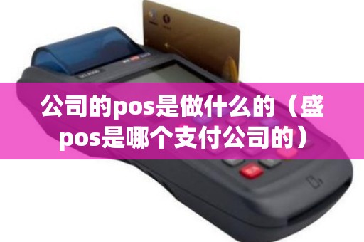 公司的pos是做什么的（盛pos是哪个支付公司的）