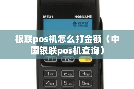 银联pos机怎么打金额（中国银联pos机查询）