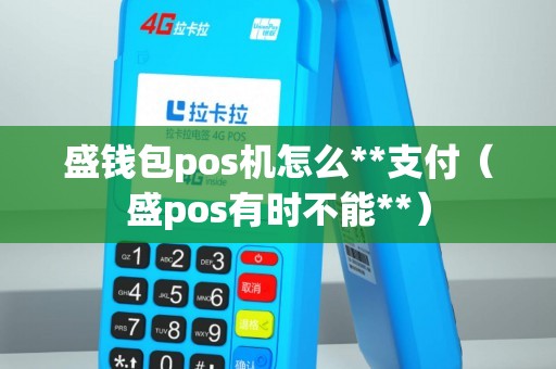 盛钱包pos机怎么**支付（盛pos有时不能**）