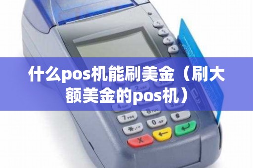 什么pos机能刷美金（刷大额美金的pos机）