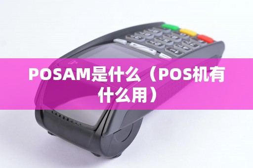 POSAM是什么（POS机有什么用）