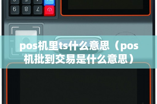 pos机里ts什么意思（pos机批到交易是什么意思）