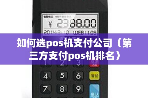 如何选pos机支付公司（第三方支付pos机排名）