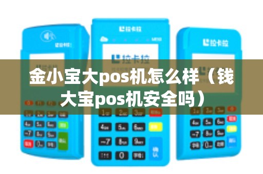 金小宝大pos机怎么样（钱大宝pos机安全吗）
