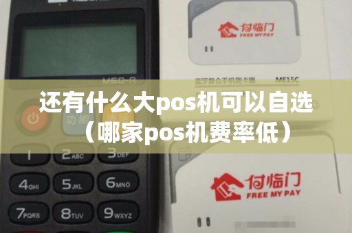 还有什么大pos机可以自选（哪家pos机费率低）