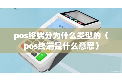 pos终端分为什么类型的（pos终端是什么意思）