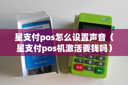 星支付pos怎么设置声音（星支付pos机激活要钱吗）