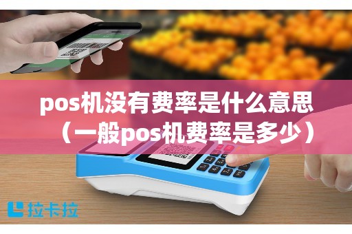 pos机没有费率是什么意思（一般pos机费率是多少）