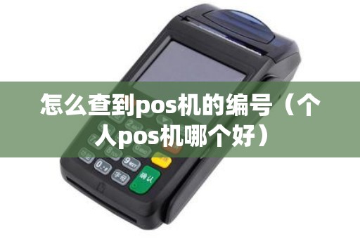 怎么查到pos机的编号（个人pos机哪个好）