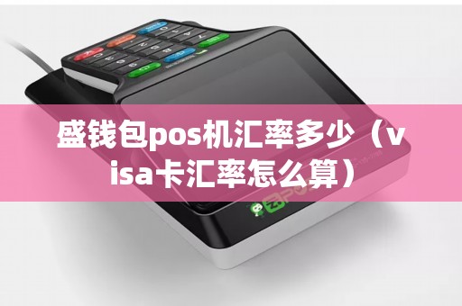 盛钱包pos机汇率多少（visa卡汇率怎么算）