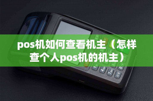 pos机如何查看机主（怎样查个人pos机的机主）