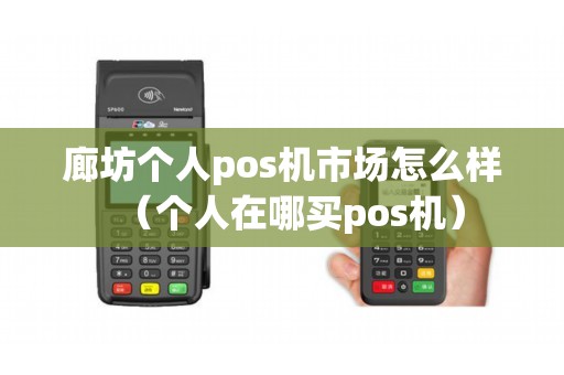 廊坊个人pos机市场怎么样（个人在哪买pos机）