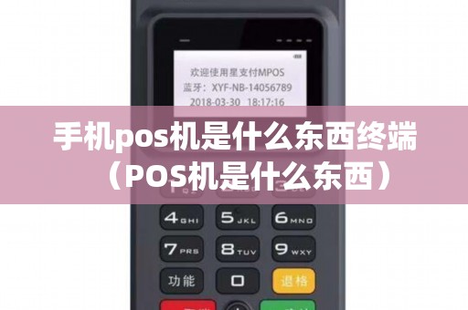 手机pos机是什么东西终端（POS机是什么东西）