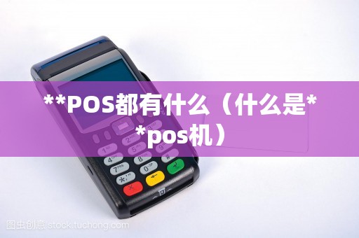 **POS都有什么（什么是**pos机）