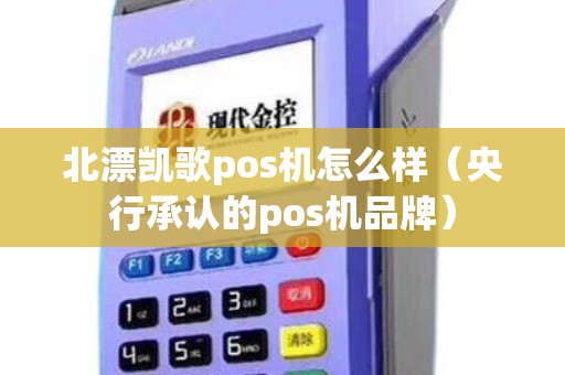 北漂凯歌pos机怎么样（央行承认的pos机品牌）