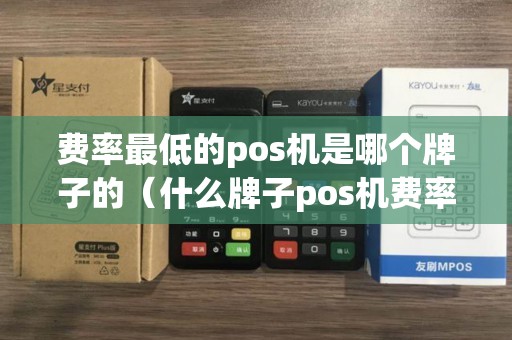 费率最低的pos机是哪个牌子的（什么牌子pos机费率低又安全）