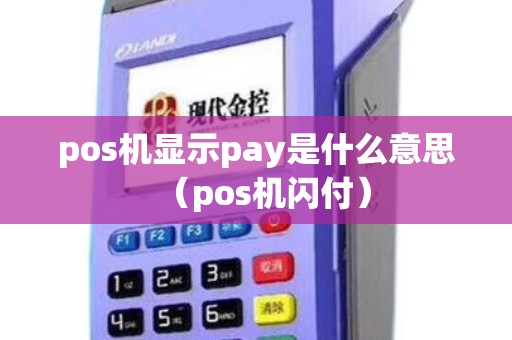 pos机显示pay是什么意思（pos机闪付）