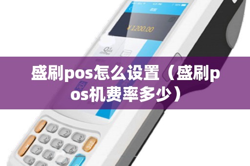 盛刷pos怎么设置（盛刷pos机费率多少）