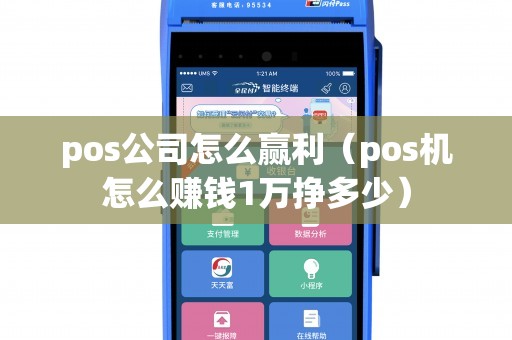 pos公司怎么赢利（pos机怎么赚钱1万挣多少）