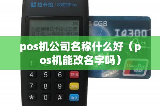 pos机公司名称什么好(pos机能改名字吗) pos机公司名称什么好(pos机能改名字吗)