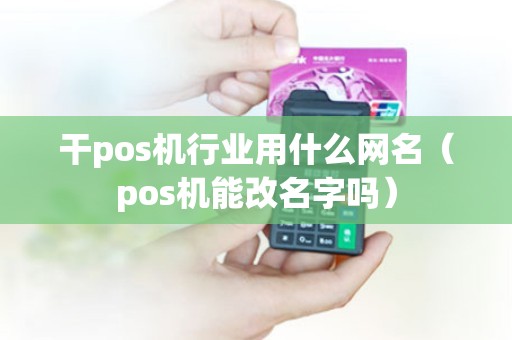 干pos机行业用什么网名（pos机能改名字吗）