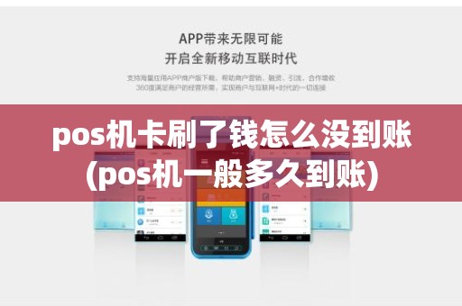 pos机卡刷了钱怎么没到账(pos机一般多久到账)
