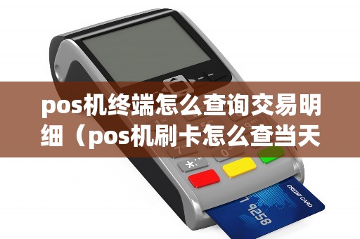 pos机终端怎么查询交易明细（pos机刷卡怎么查当天的明细）