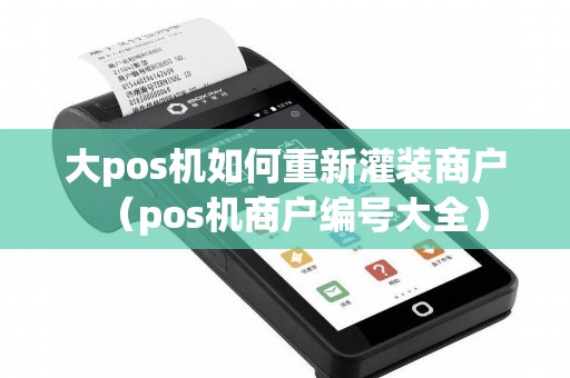 大pos机如何重新灌装商户（pos机商户编号大全）