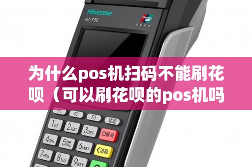 为什么pos机扫码不能刷花呗（可以刷花呗的pos机吗）