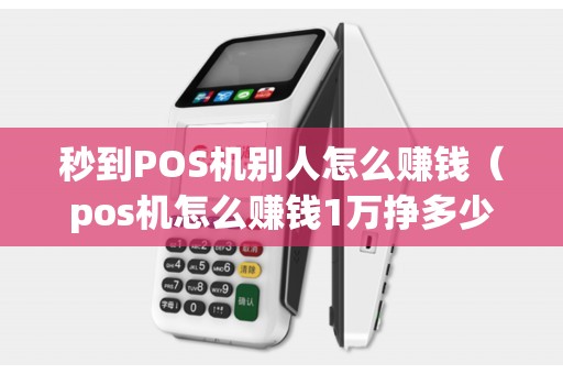 秒到POS机别人怎么赚钱(pos机怎么赚钱1万挣多少) 秒到POS机别人怎么赚钱(pos机怎么赚钱1万挣多少)