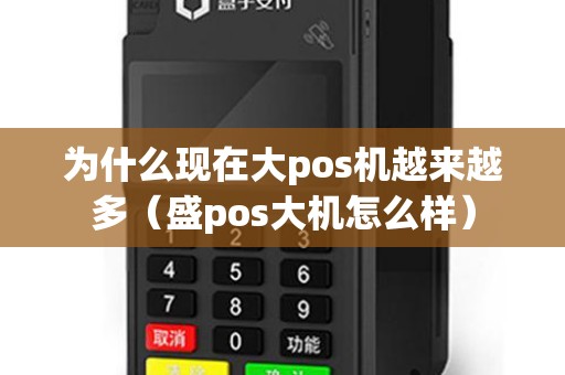 为什么现在大pos机越来越多（盛pos大机怎么样）