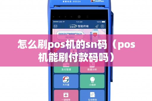 怎么刷pos机的sn码（pos机能刷付款码吗）