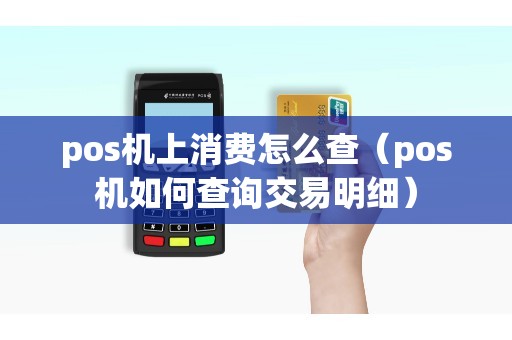 pos机上消费怎么查（pos机如何查询交易明细）
