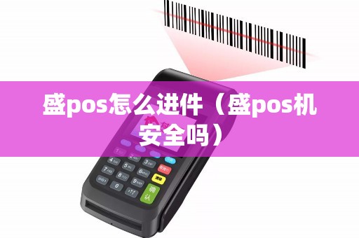 盛pos怎么进件（盛pos机安全吗）
