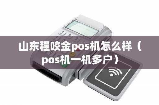 山东程咬金pos机怎么样（pos机一机多户）