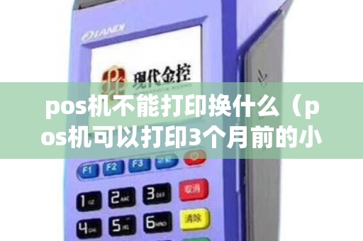pos机不能打印换什么（pos机可以打印3个月前的小票）