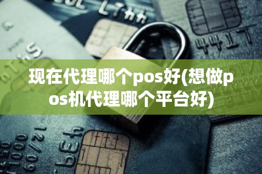 现在代理哪个pos好(想做pos机代理哪个平台好)