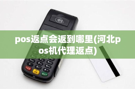 pos返点会返到哪里(河北pos机代理返点)