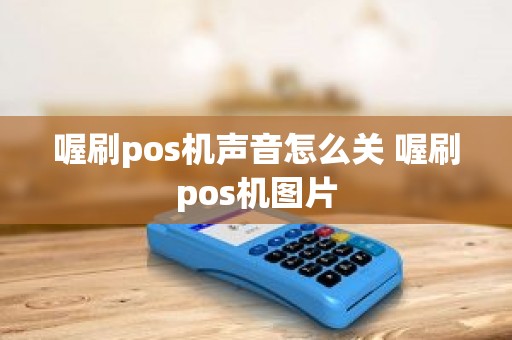 喔刷pos机声音怎么关 喔刷pos机图片
