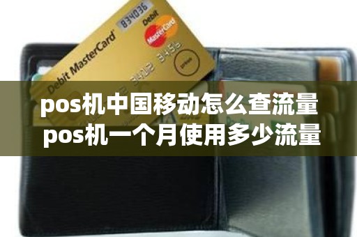 pos机中国移动怎么查流量 pos机一个月使用多少流量