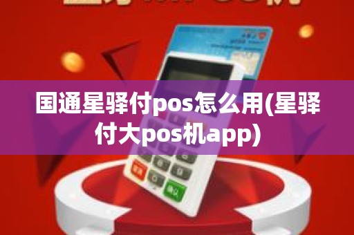 国通星驿付pos怎么用(星驿付大pos机app)