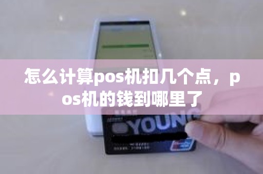 怎么计算pos机扣几个点，pos机的钱到哪里了