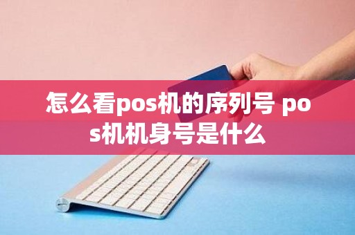 怎么看pos机的序列号 pos机机身号是什么