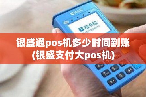 银盛通pos机多少时间到账(银盛支付大pos机)